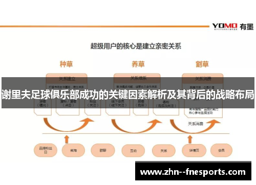 谢里夫足球俱乐部成功的关键因素解析及其背后的战略布局